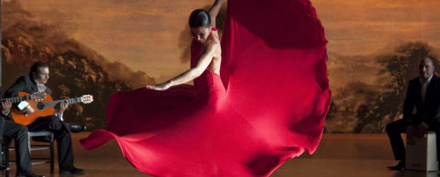 flamenco
