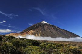 canarie