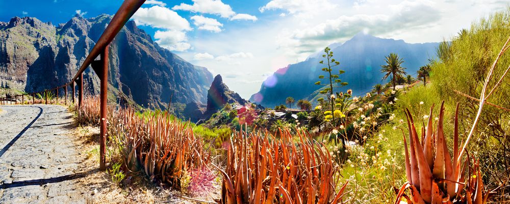 SCOPRI TENERIFE